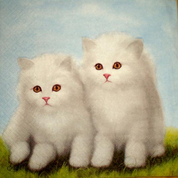 070 Cats - 3-ply - Paw